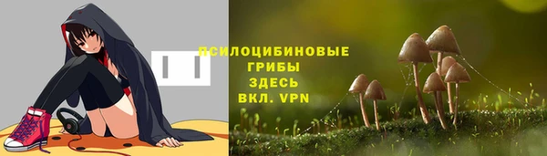 экстази Абаза