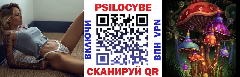 купить   Чебаркуль  Псилоцибиновые грибы Psilocybe 